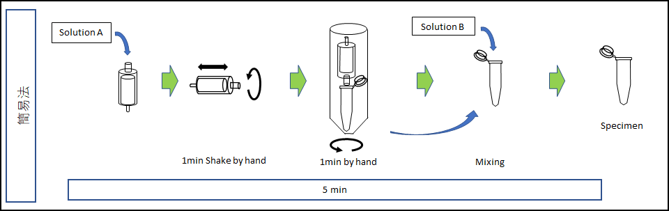 環境DNA測定におけるの簡易抽出法の手順イラスト
Illustration of the simple extraction procedure for environmental DNA measurement