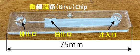 Biryu Chip
BC method